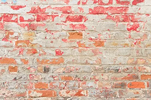 

5x7ft Pink Backdrop Photography Backdrops Pink Brick Background Photo Backdrop Baby BAckdrop