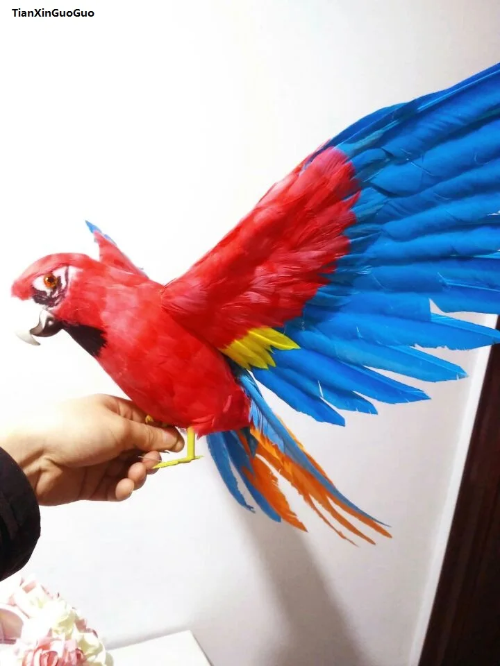 

coloured red- blue feathers parrot bird large 42x60cm spreading wings bird hard model,garden decoration ornaments gift s1443