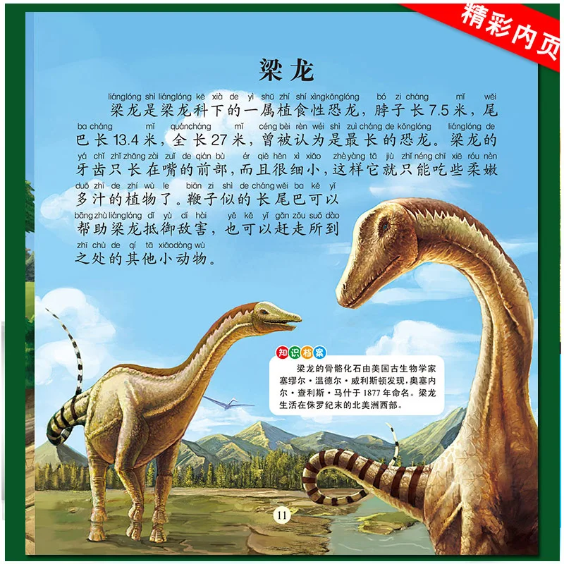 Livro de história chinês com 6 partes, com adorável caixa de imagens de dinossauro cabeça mandarim para crianças e adultos