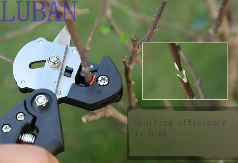 Cisailles Professionnelles pour la Vaccination des Arbres Fruitiers, Outils de Jardin, Sécateur, Ciseaux de Greffe, Couteau de Coupe