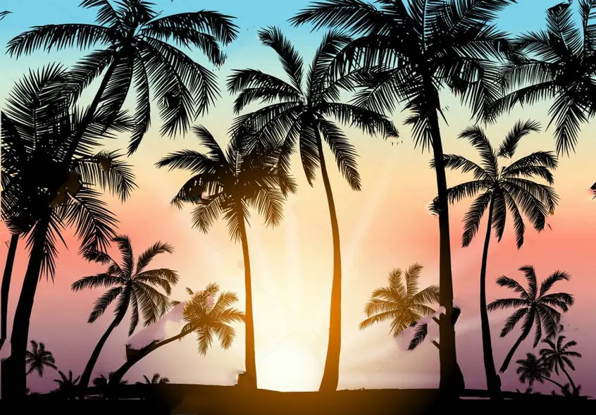 Ocean Palm Trees Silhouette Tropical Grunge Sunset Beach photo backdrop   Computer print wedding background