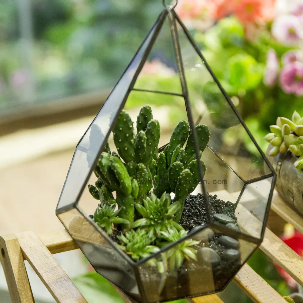 Gardening Wall Hanging Planter Five-surfaces Diamond Shape DIY Glass Geometric Terrarium Table Succulent Plant Flower Pot Decor