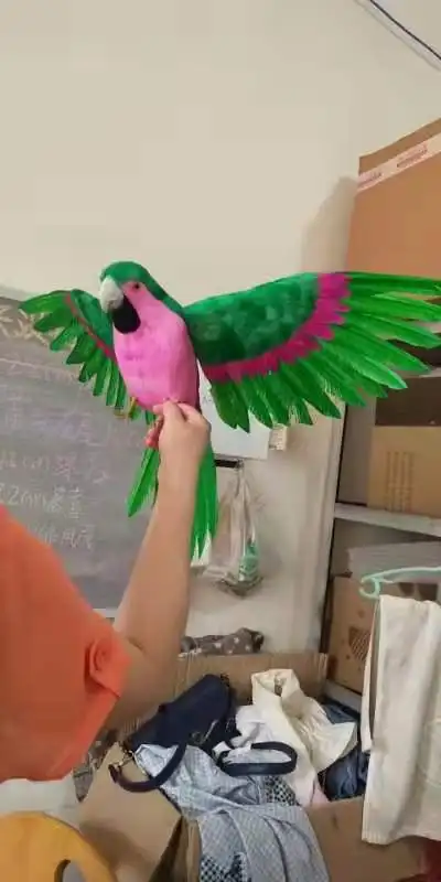 real life toy bird 45x60cm green- pink feathers parrot spreading wings parrot handicraft ,home garden decoration gift p2228