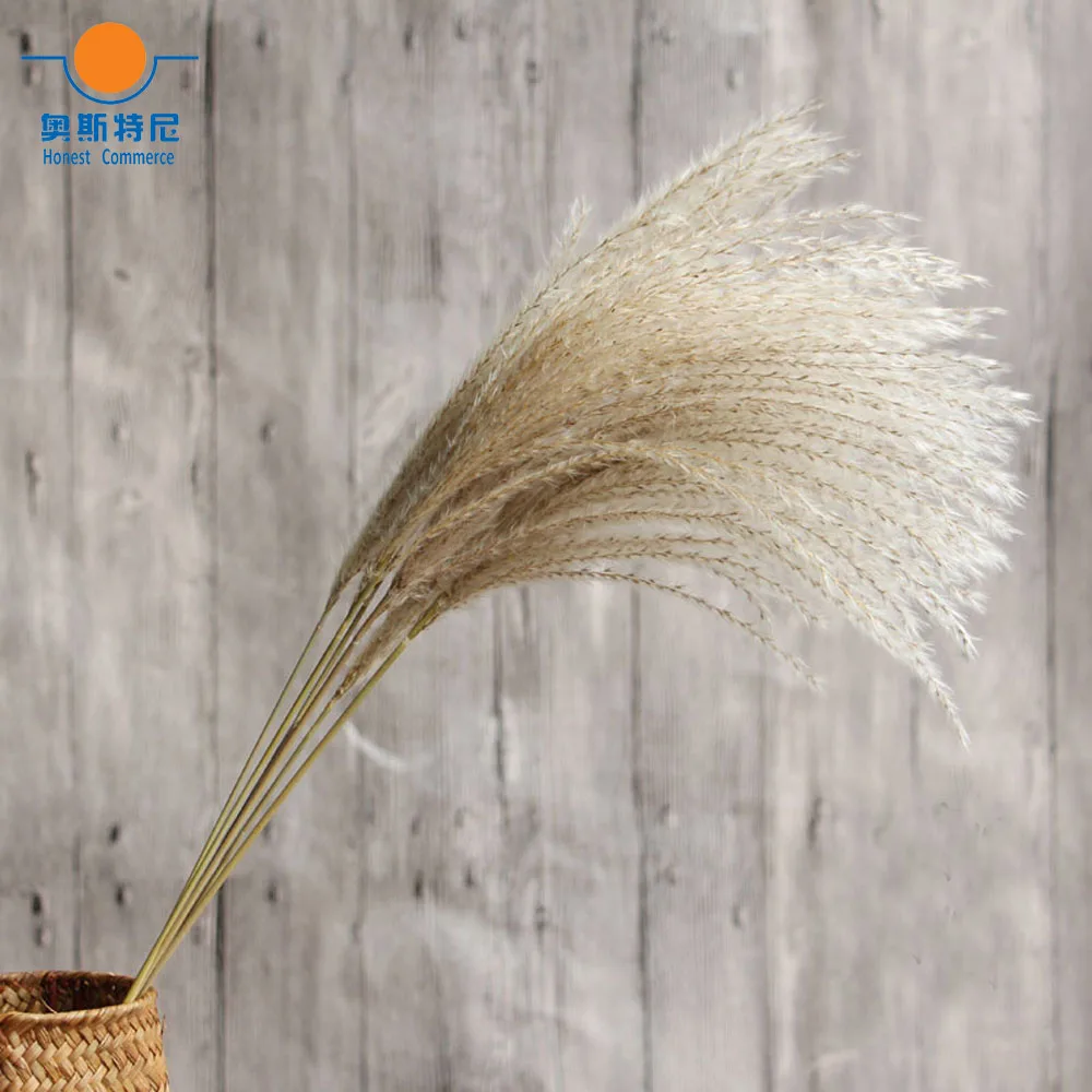 

dried natural flower bouquets natural dried reed flowers&bulrush flowers&Phragmites flowers for home decoration