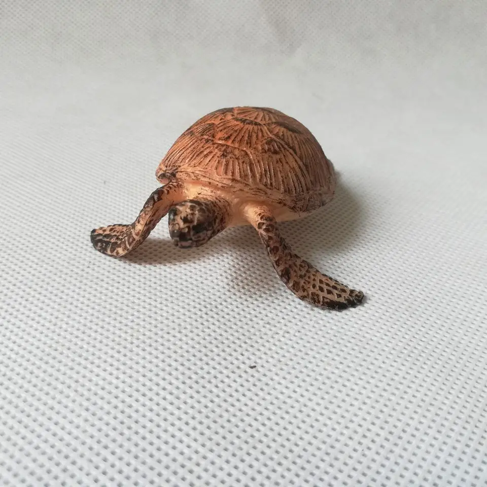 real life toy tortoise Static Plastic toy about 8x7cm model Environmental material Cognition baby toy gift h0022