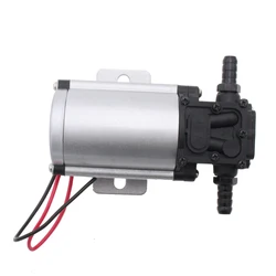 Professional Petrol Petro Pump DC 12V 24V Diesel Fuel Oil Extractor Transfer 10L/min