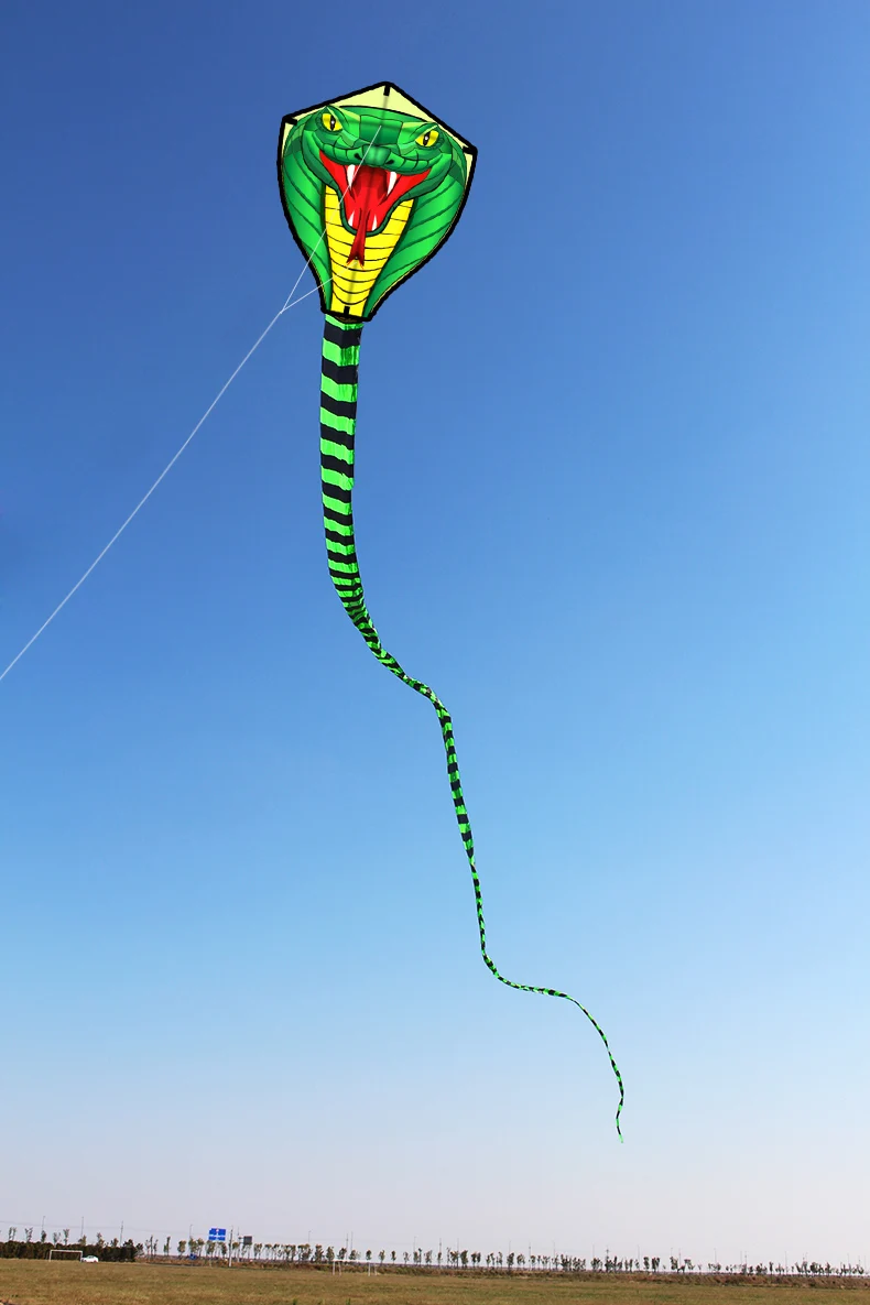 Colorful Snake Kite 4