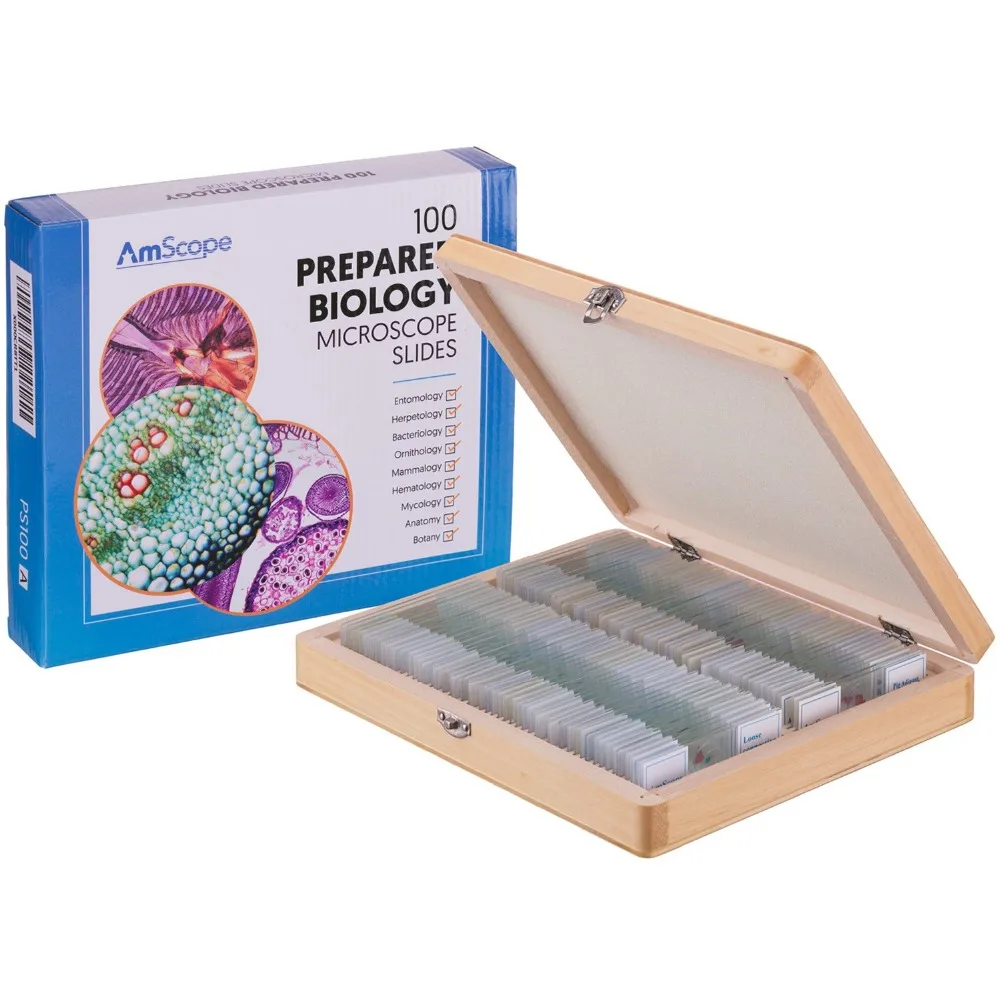 AmScope 100 Anatomy Botany Prepared Microscope Slides - Set D  PS100D