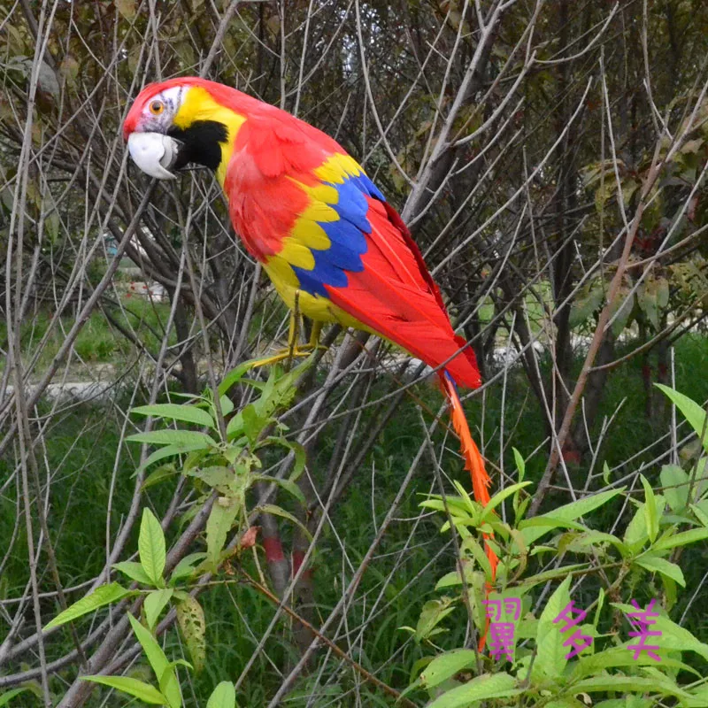 

new beautiful Macaw toy foam&feather simulation colourful parrot doll gift about 42cm 1578