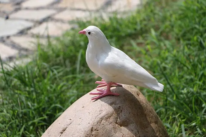 

new creative simulation pigeons model standing simulation pink mouth dove gift about 20x12x19cm 2301