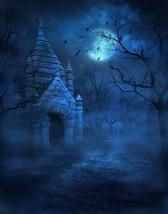 Halloween Gothic Cemetery cottage full moon tree scary backdrops  High quality Computer print wall background