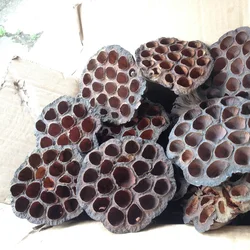 Natural Dried Lotus Flowers office decoration flower arrangement Home Party Decor Photo Prop Photography Shoots