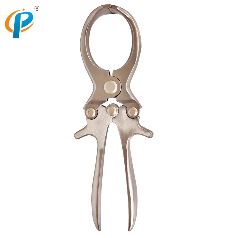 

Pig Castrating Forceps, Hog Burdizzo Clamps, Boar SS304 Bloodless Castrating Forceps, Animal Castration Tool