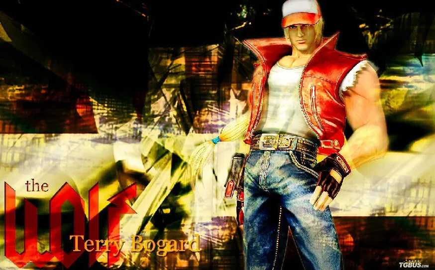 anime products KOF Terry Bogard Cosplay Costume with hat and gloves 110