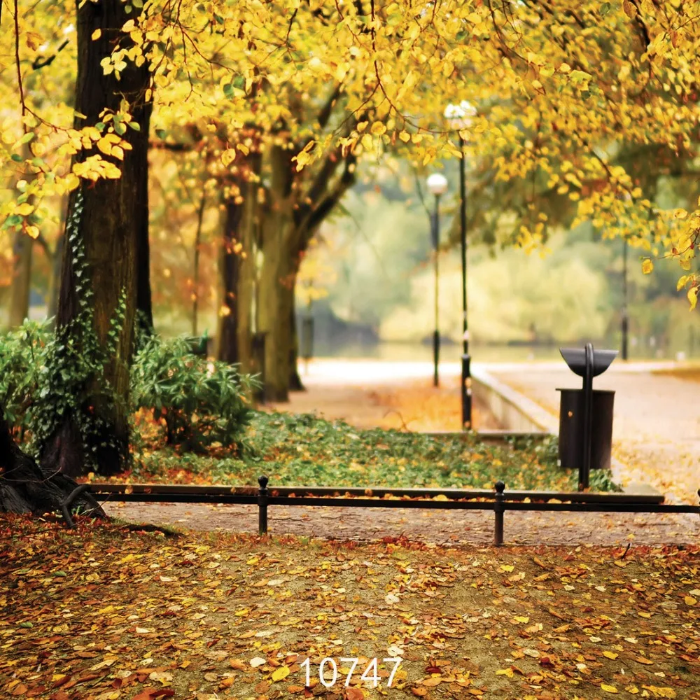 Roadside-fondo fotográfico de vinilo con árbol amarillo y hierba verde para retrato de bebé, recién nacido, fotomatón