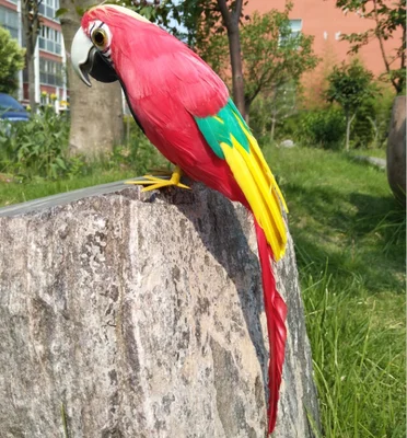 beautfiul red feathers parrot artificial bird 30cm handicraft,prop,home garden decoration gift p2732