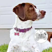 Customized Dog ID Tag Bone Paw #3