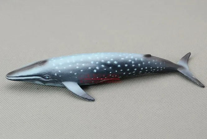 Figurine de requin de baleine en pvc solide, fabrication méticuleuse, modèle de simulation authentique, jouet