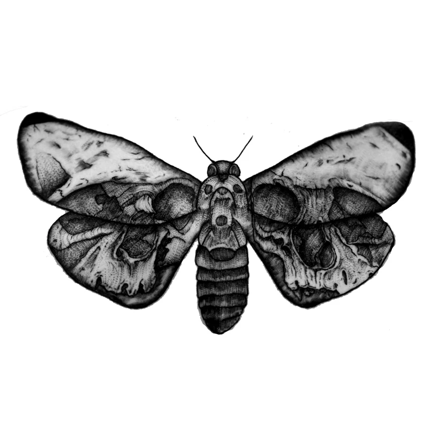 Moths Waterproof Temporary Tattoos Men Body Arm Sticker tattoo Sleeve  Shoulder Tattoo sticker harajuku henna tattoo