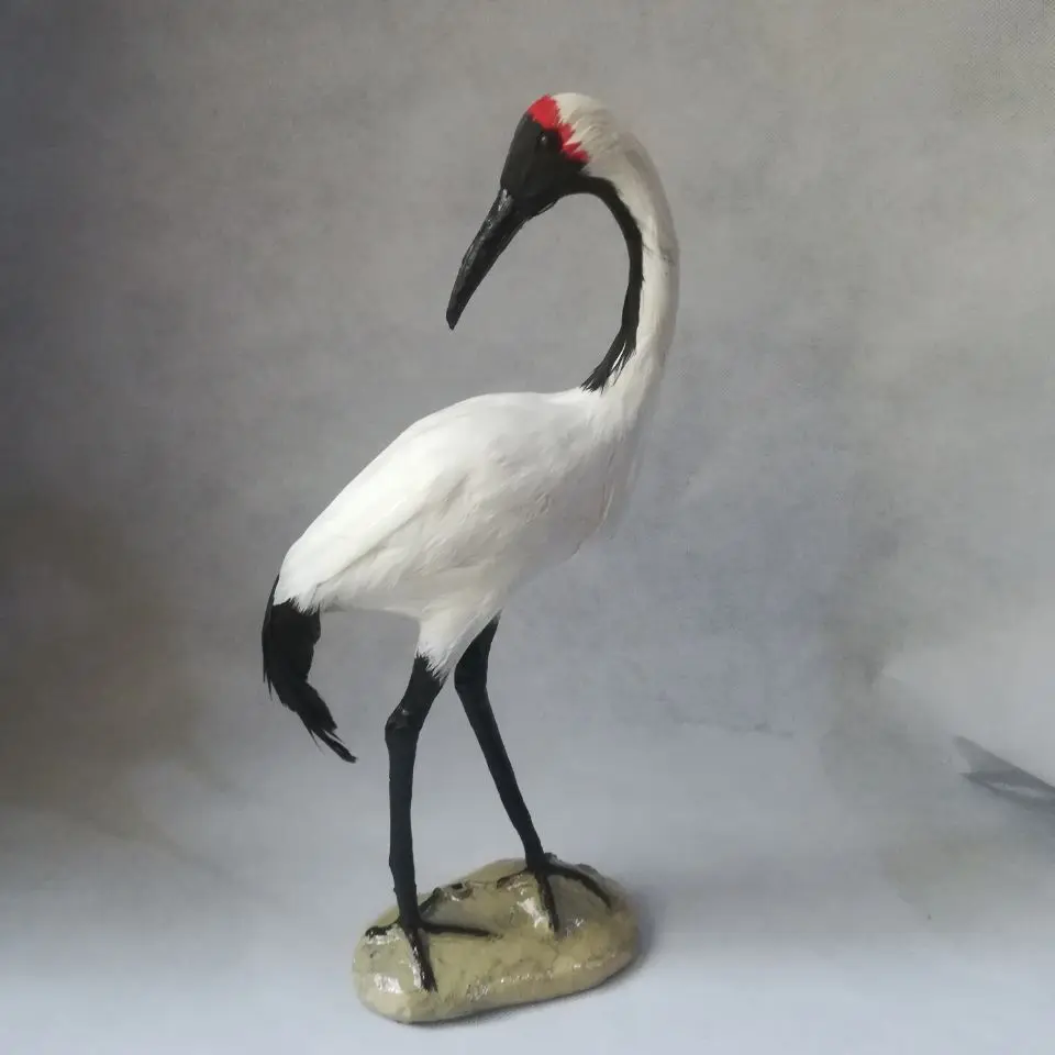 

real life toy cute white Red-crowned Crane 35x15cm model polyethylene&furs bird model home decoration props ,model gift d0671