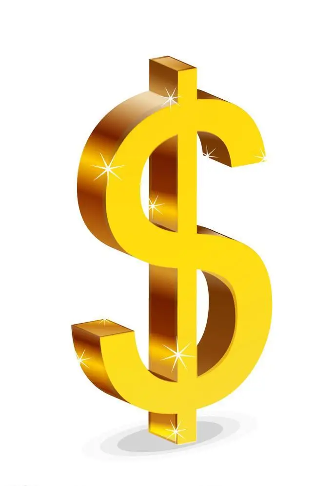 ONLY FOR PAYING Extra Fee For Faster Shipping way Or Special Service