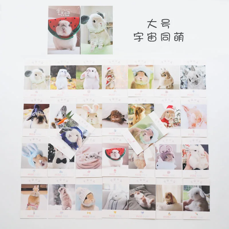 30 Sheets/Set Lovely Bunny Rabbit Postcard/Greeting Card/Message Card/Birthday Letter Envelope Gift Card