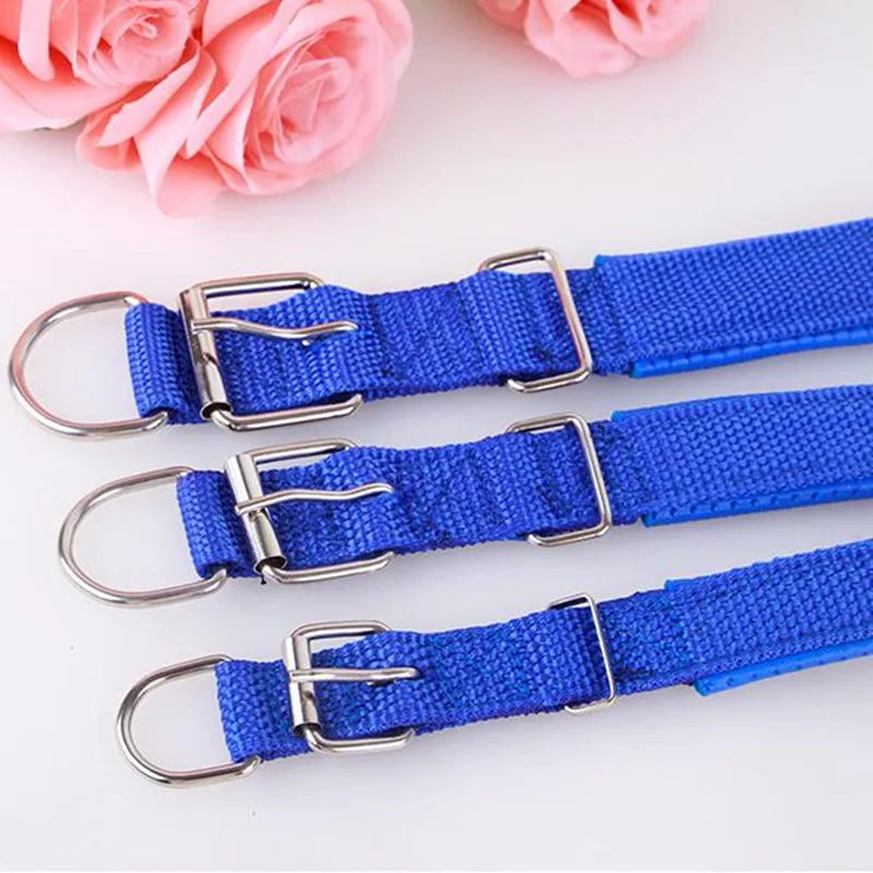 Cinturino In Nylon regolabile Collare di Cane Per I Piccoli Cani di Taglia Grande Cucciolo di Accessori Per Animali Domestici Collare di Cuoio Per