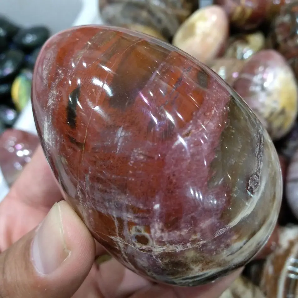 200-300g NATURAL PETRIFIED WOOD STONE HAND CARVED EGG
