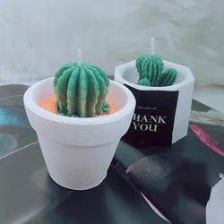 Stampi per candele di Cactus 3D piante succulente a forma di torta fondente al cioccolato stampo da forno per caramelle decorazione per la casa forniture per la produzione di candele