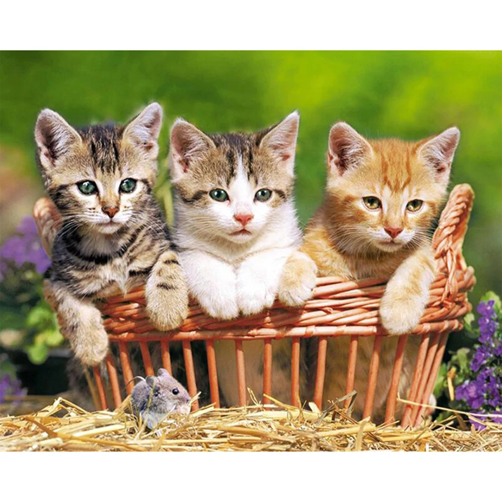 5D DIY Full Square/round Diamond Painting cat in the basket Embroidery Cross Stitch Rhinestone pictures Mosaic Home Decor WG719