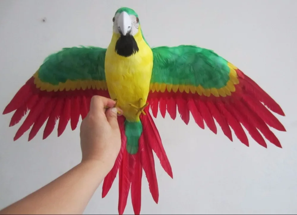 large 45x60cm colourful feathers parrot model foam&feathers spreading wings parrot bird handicraft,garden decoration gift a2699