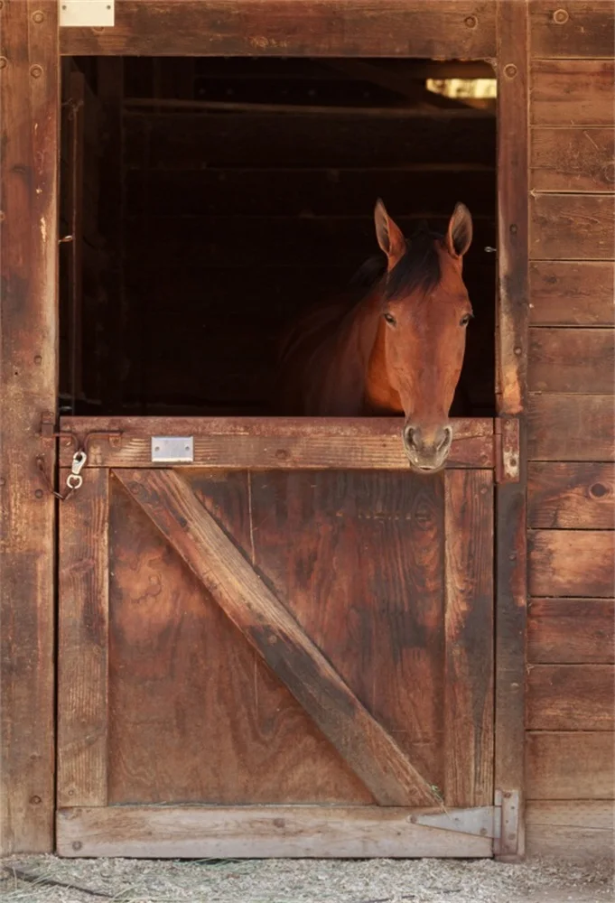 

Laeacco Stable Horse Wooden Door Farm Warehouse Scenic Photography Backgrounds Photography Backdrops For Photo Studio