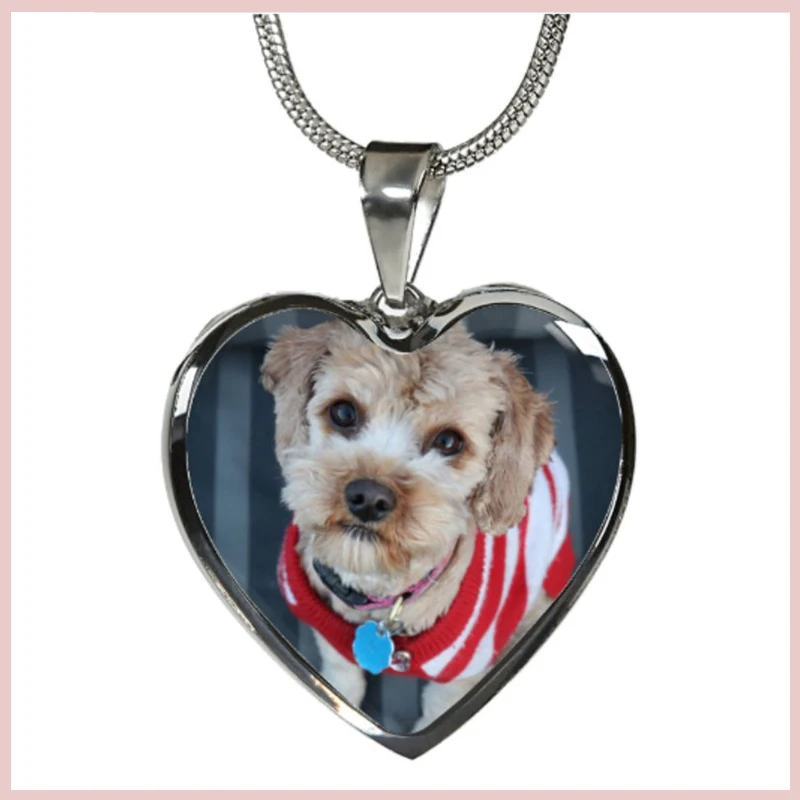 Strollgirl 925 Sterling Silver Personalized Customization Dog Necklace Pet Memorial Jewelry Gifts for Dog Lovers Hot Sale