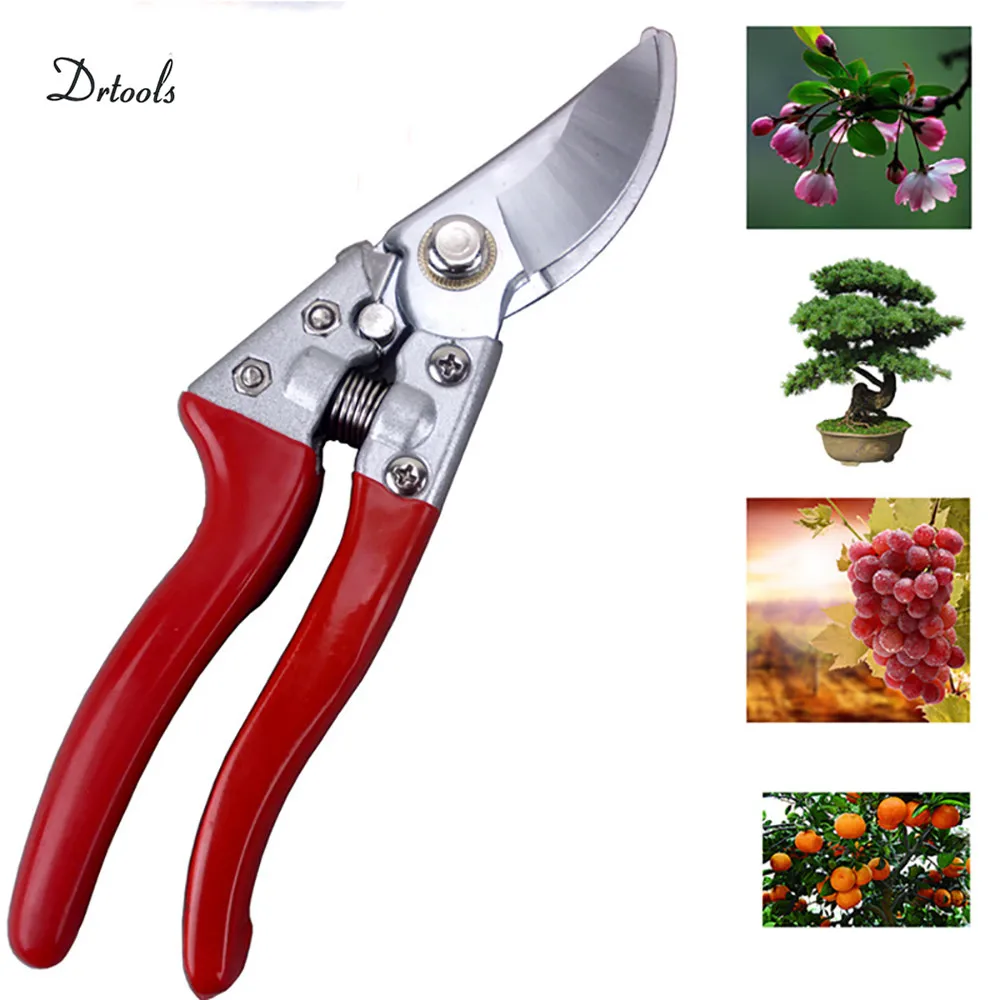 Ciseaux de jardinage antidérapants, greffage, cisaille à main, outils de coupe d\'arbres fruitiers en acier inoxydable, sécateurs de bonsaï GT001