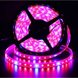 Tira de luces LED para cultivo, lámpara Phyto resistente al agua, color rojo y azul, 300LED, 12V, 5050 luces de crecimiento de chips, Fitolamp para plantas y flores de interior, 5 m/rollo