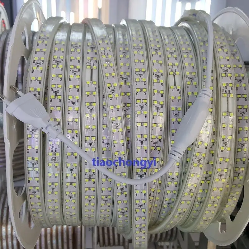 1-10M 220V 2835 Warm White Double Row LED Strip Rope Light Lamps 180LED/M +Plug