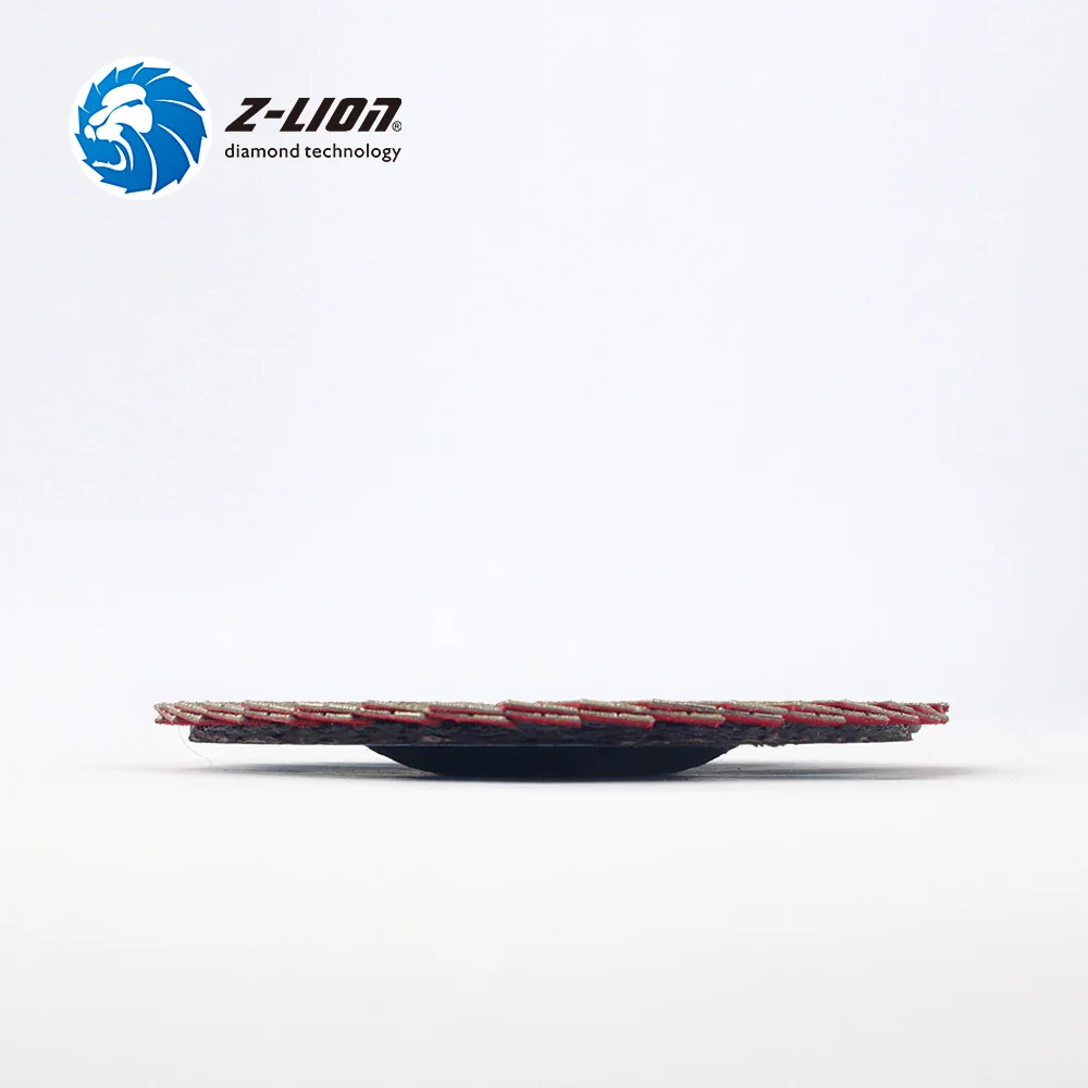 Z-LION 2pcs 4\