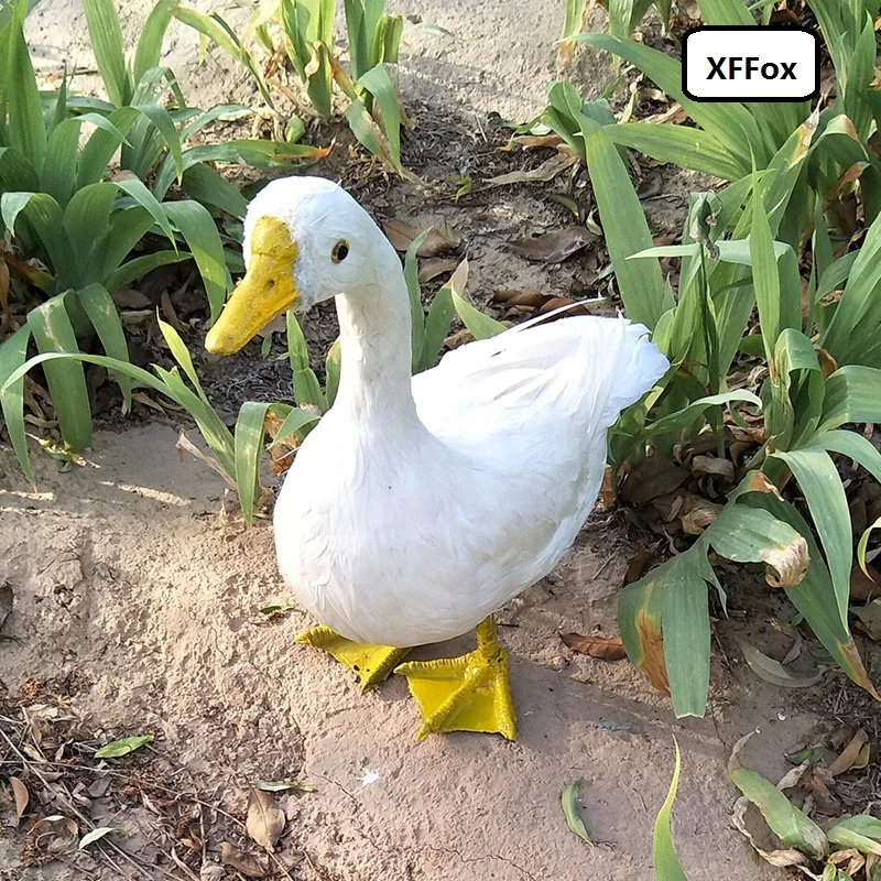 

big simulation duck model foam&furs real life white duck bird model gift about 50x45cm xf1056