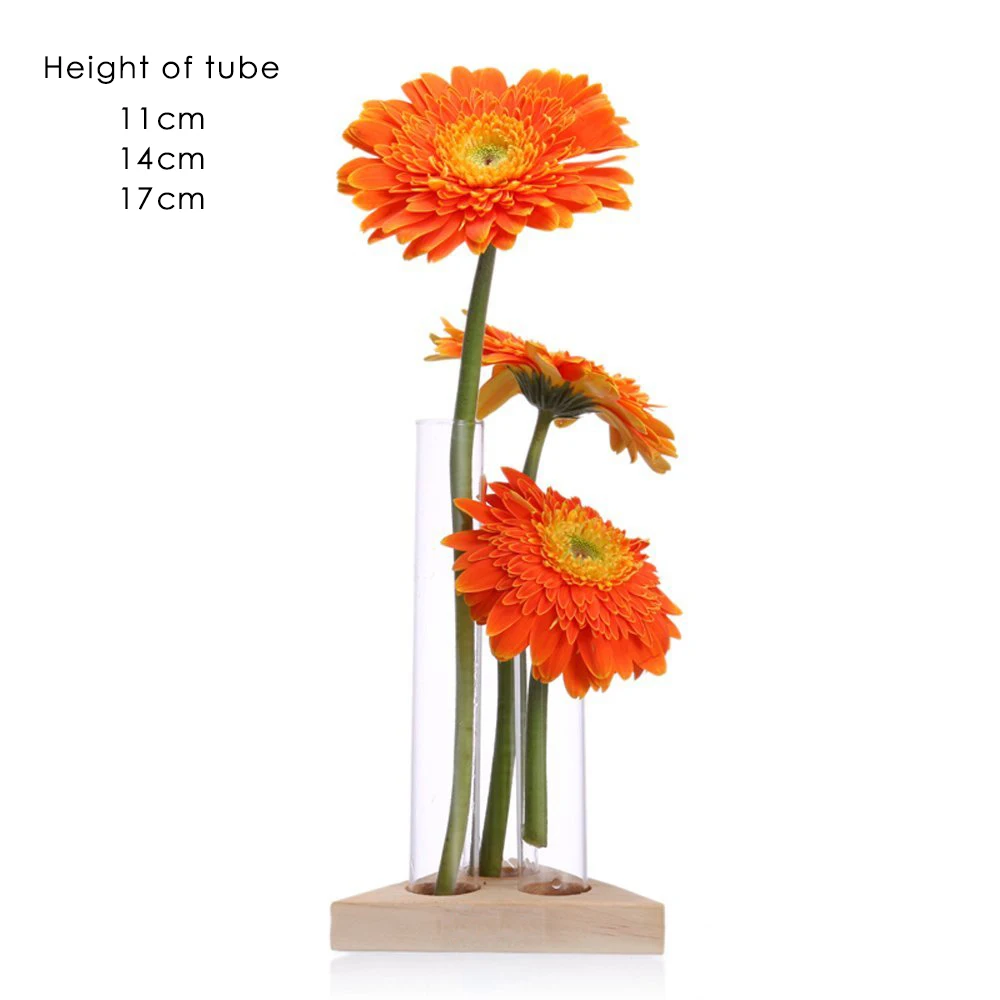 Plant Terrarium with Wooden Stand Desktop Live Plant Propagation Station Planter Glass Tubes Hydroponic Vase Air Planter Holder