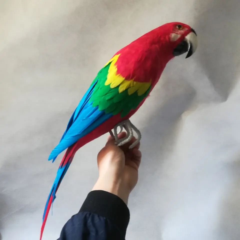 real life Bird colourful feathers parrot model about 60cm bird home garden decoration filming prop decoration toy gift h1277