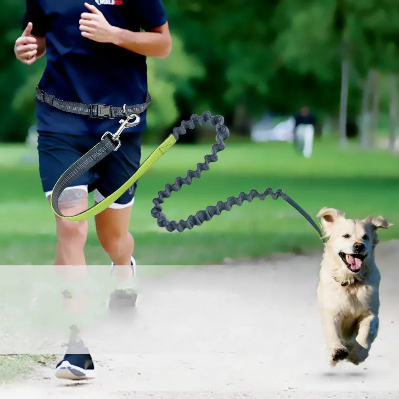 

Pet dog leash running jogging dog lead sport adjustable walking hand free Waist Belt unique Reflective dog Double traction rope