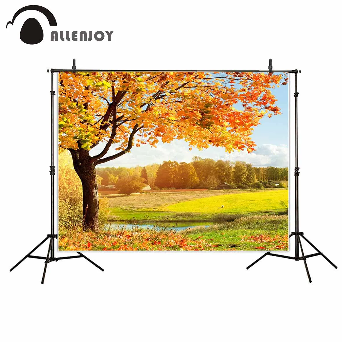 Allenjoy Chụp Ảnh Nền Lá Mùa Thu Xứ Sở Thần Tiên Đẹp Tự Nhiên Chụp Ảnh Nền Cho Nghiên Cứu Ảnh Nền