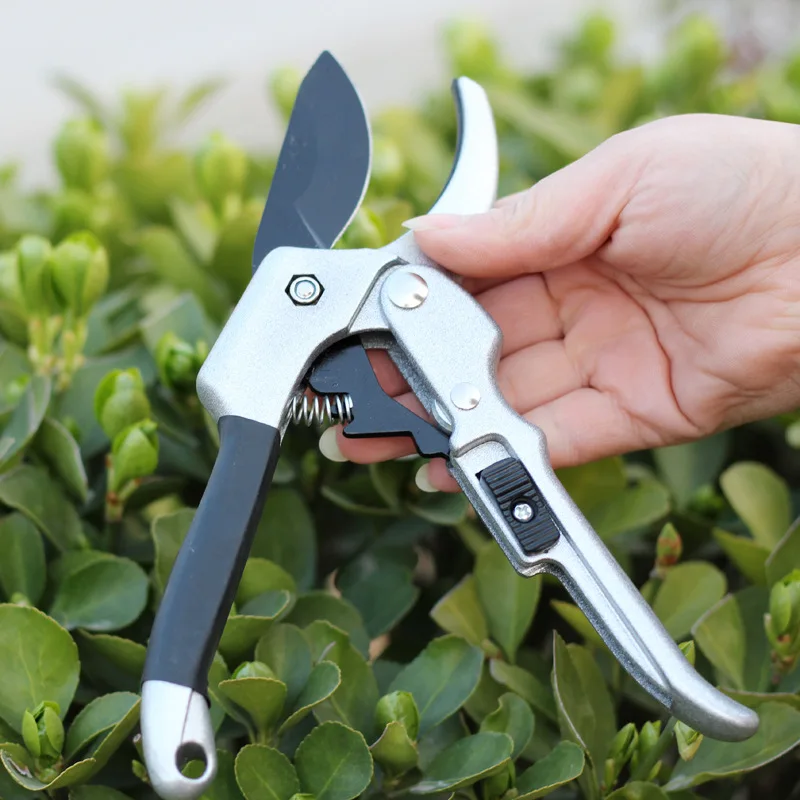 SK5 Gardening Pruning Shears Cut Branches Scissor 20mm Diameter Fruit Trees Flowers Branches Pruner Scissors