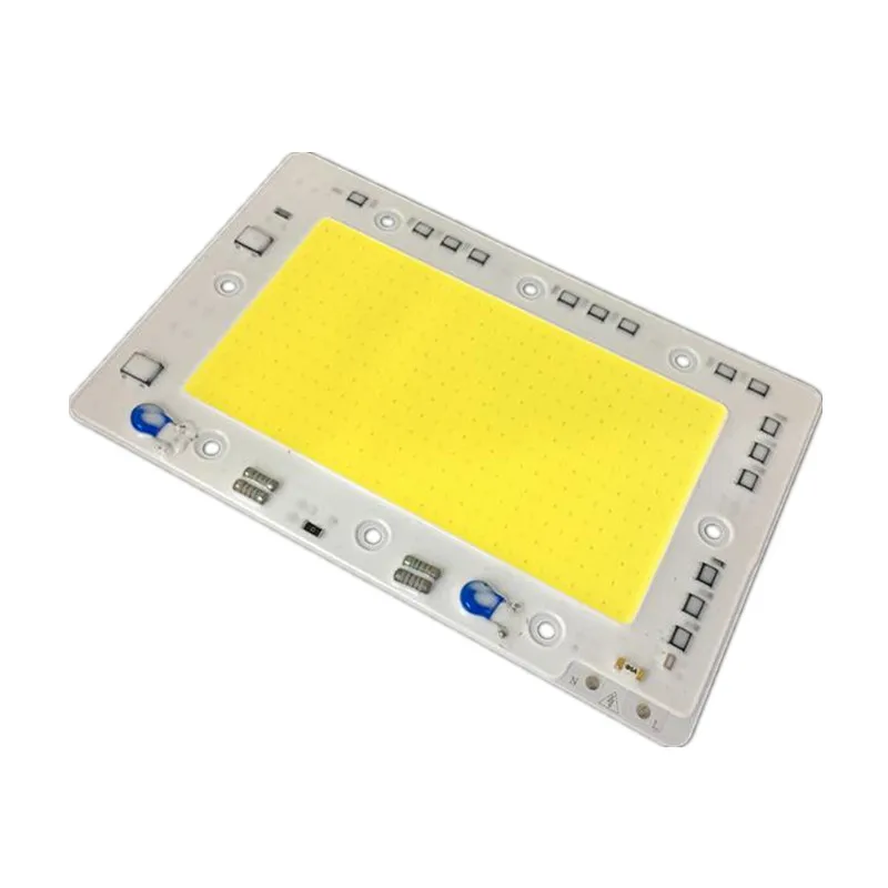 50w/100w /150w LED COB CHIP lighting AC220V 110V LED Floodlight Lamp SMART IC city power White/warm white