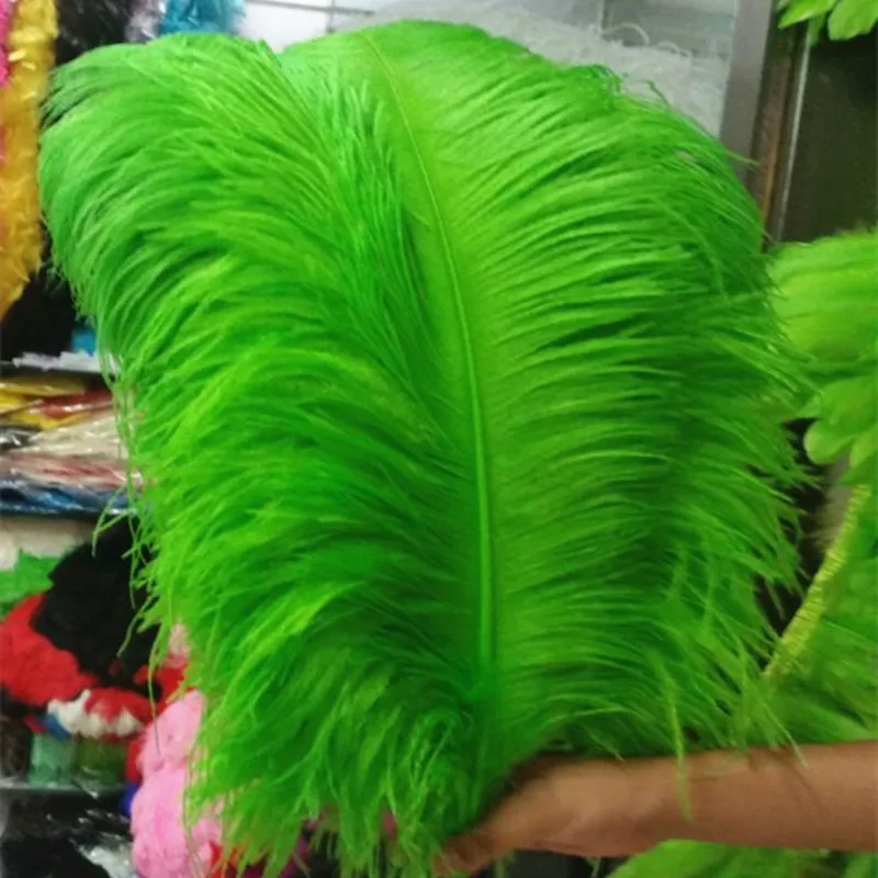 10PCS Thick pole ostrich feather fruit green ostrich plumage 55-60cm / 22-24 inches plume artware performing decorations