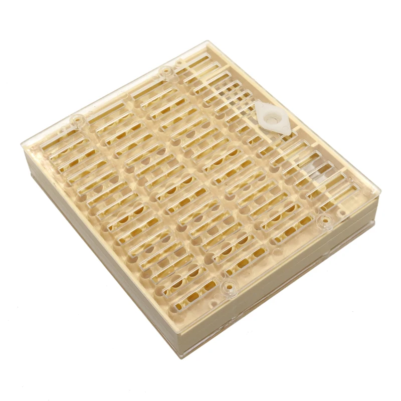 Bee Brood Box Queen Bee Lay Eggs Cage Beekeeping Rearing Equipment Beekeeper Apiculture Supplies