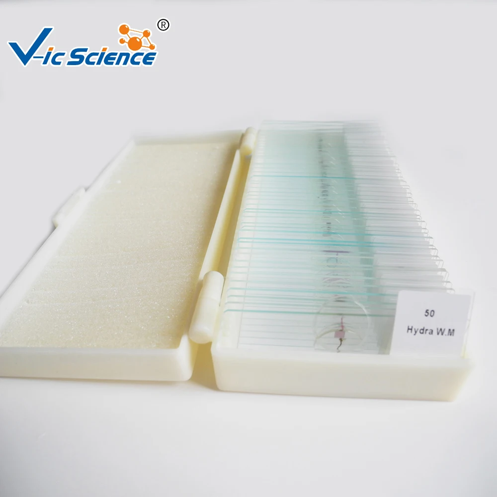 Medical 50Pcs Human Pathology Teaching  Slides Set