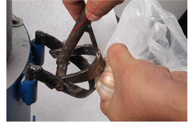 20 كجم/ساعة الجافة الثوم تقشير آلة/الثوم مقشرة/الثوم الجلد إزالة آلة