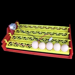 New 36 Eggs Automatic Incubator Turn The Eggs Tray Chicken Pheasant Tray Automatic Incubator Experimental Teaching Equipment