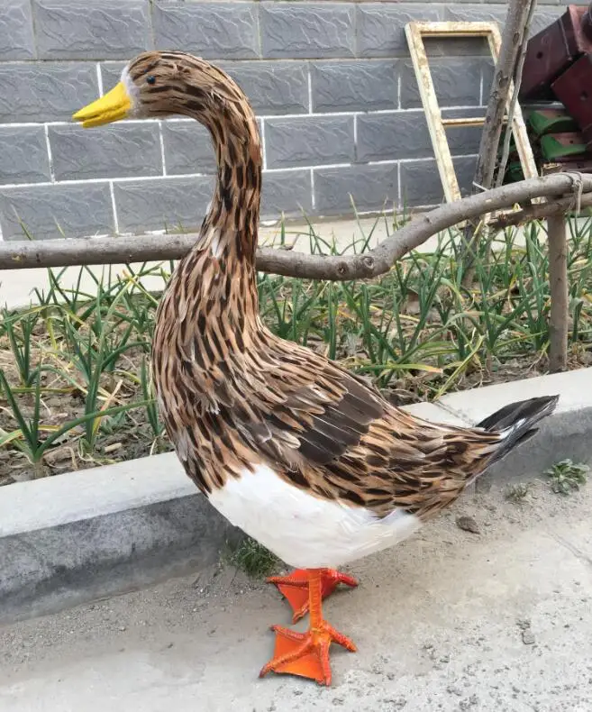 

real life toy model large 50x45cm brown duck foam&feathers duck,home garden, farm decoration toy gift d0599